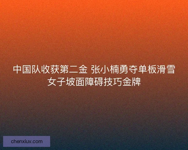 中国队收获第二金 张小楠勇夺单板滑雪女子坡面障碍技巧金牌